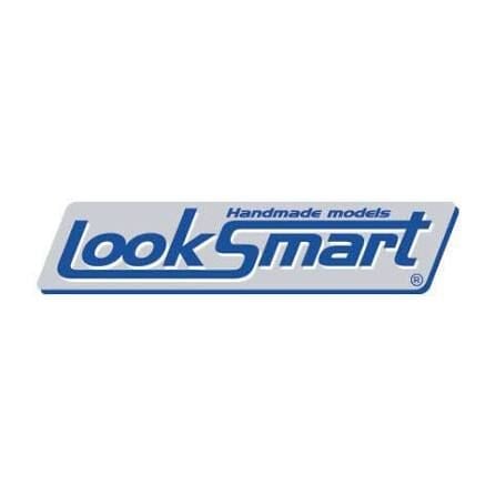 Look Smart